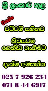 cheaper price within sri lanka
